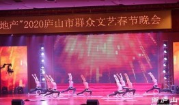 卫视转播春晚爆料节目视频,精彩纷呈，亮点频出